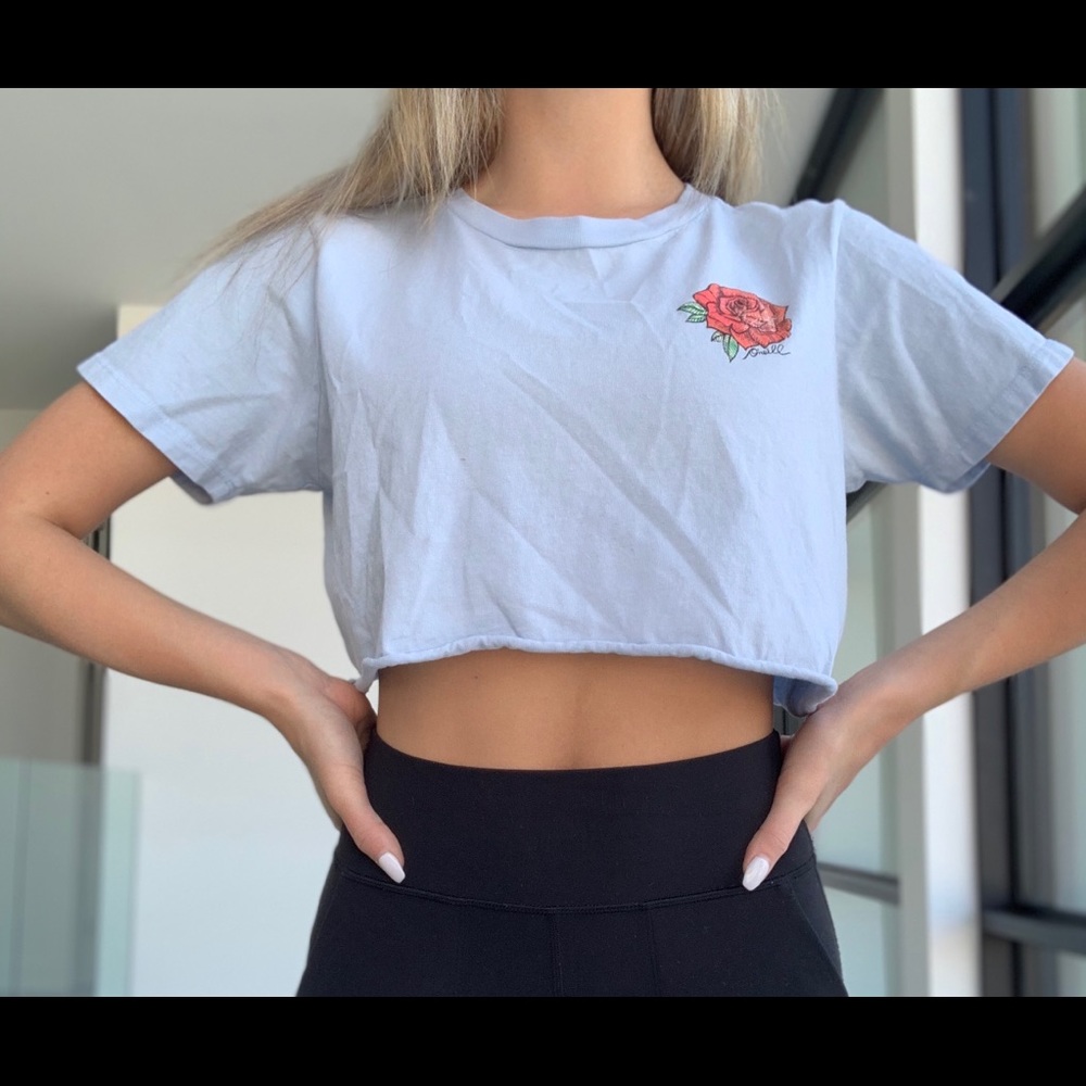 Blue W/ Rose Crop ❥